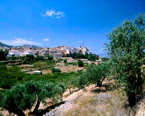 The wine village of Tivissa Tarragona Province   Spain  DO Tarragona