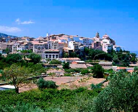 The wine village of Tivissa Tarragona Province   Spain  DO Tarragona