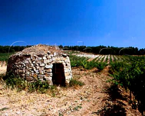 Traditional stone hut on Torres Las Torres estate at an altitude of 450m near Mediona Barcelona Province Spain Penedes