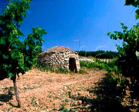 Traditional stone hut on Torres Las Torres estate at an altitude of 450m near Mediona Barcelona Province Spain Penedes