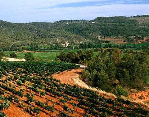 Torres Fransola Estate at an altitude of 550m near   Santa Maria de Miralles In the foreground is part   of the Mas Borras vineyard 15ha of Pinot Noir   Catalonia Spain   Alt Penedes