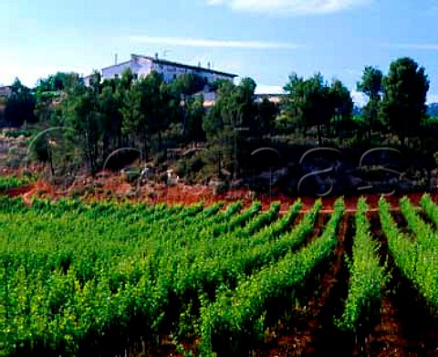Torres Fransola Estate the house is Mas Borras and gives its name to a Pinot Noir vineyard here Santa Maria de Miralles Catalonia Spain Alt Penedes