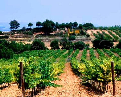 Water pump in Cabernet Sauvignon vineyard of   Concavins near Montblanc Tarragona Province Spain   DO Conca de Barbera