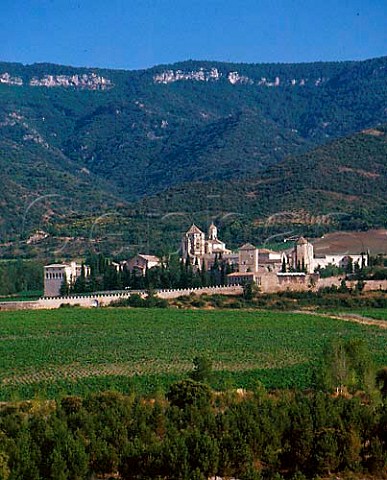 Monastery of Poblet  founded in 1151 The   vineyards part of 115ha known as Las Murallas are   owned by Miguel Torres  Vimbodi Catalonia Spain  Conca de Barber