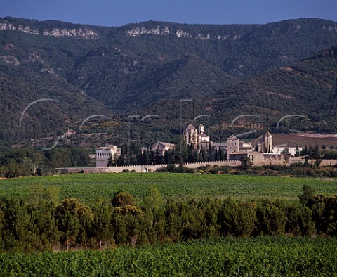 Monastery of Poblet founded in 1151 The  vineyards known as Las Murallas are  owned by Miguel Torres Near Vimbodi Catalonia  Spain  DO Conca de Barber