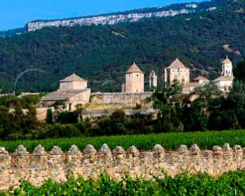 Monastery of Poblet  founded in 1151 The vineyards part of 115ha known as Las Murallas are owned by Miguel Torres Poblet CataloniaSpain   Conca de Barbera   