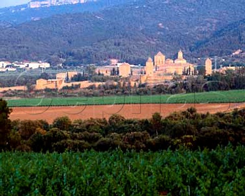 Monastery of Poblet  founded in 1151 The vineyards part of 115ha known as Las Murallas are owned by Miguel Torres and planted with Garnacha Parellada and Mourvedre Poblet Catalonia Spain  DO Conca de Barbera      