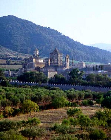 Monastery of Poblet  founded in 1151 Within the   walls is a 15ha vineyard worked by Codorniu whilst   Miguel Torres owns the vineyards outside Tarragona   Province Catalonia Spain