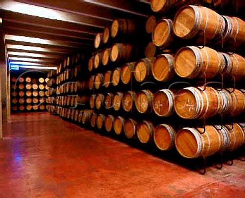 Oak barrels in the new bodega of Raimat near Lerida   Catalonia Spain DO Costers del Segre