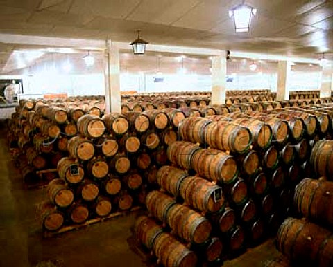 Barrel maturation cellar of Bodegas Martinez   Bujanda Oyon Spain Rioja