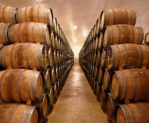 Barrel maturation cellar of Martinez Bujanda Oyon Spain Rioja