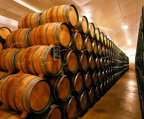 Bottle maturation cellar of Bodegas Martinez   Bujanda Oyon Spain Rioja