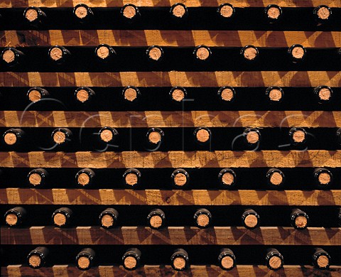 Bottle maturation cellar of Martinez Bujanda Oyon Spain    Rioja
