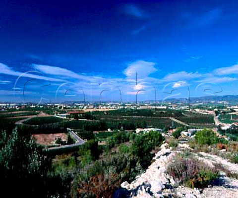 Overview of the Masia Torres estate of Miguel Torres   which includes their vinification plant cellars   visitor centre and Mas la Plana vineyard Pacs del   Penedes Catalonia Spain