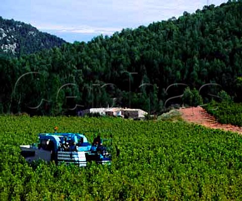 Machine harvesting of Sauvignon Blanc on the   Fransola Estate of Miguel Torres at an altitude of   550m near Santa Maria de Miralles Catalonia Spain   Alt Penedes