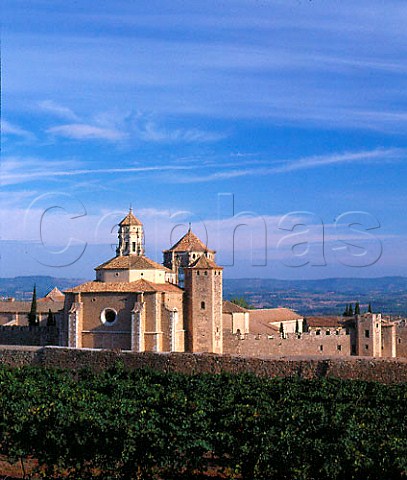 Monastery of Poblet viewed over vineyard of Miguel   Torres Catalonia Spain Conca de Barber