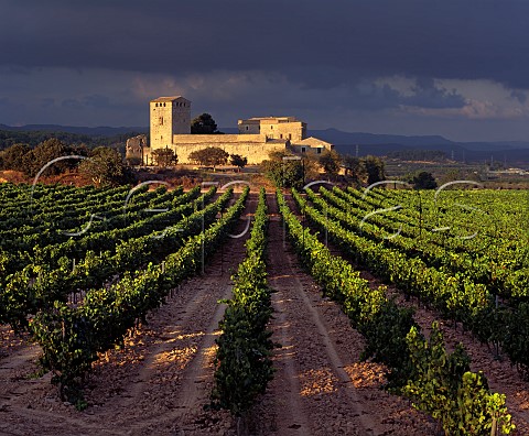 The 11thcentury Castillo de Milmanda of Familia Torres viewed over its Chardonnay vineyard The castle was formerly part of the holdings of the nearby Monastery of Poblet Vimbodi Catalonia Spain Conca de Barber