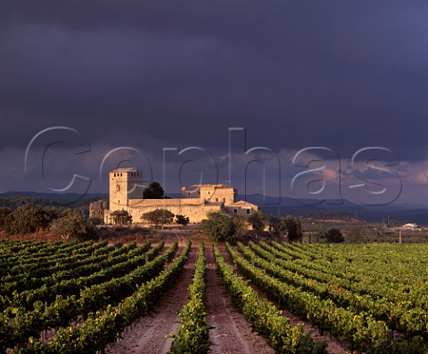The 11thcentury Castillo de Milmanda owned byMiguel Torres The estate is at an altitude of 500mand has 85ha of vineyard of which 10ha are givenover to Milmanda Chardonnay the companys top white wine The castle was formerly part of the holdings of the nearby Monastery of Poblet Vimbodi Catalonia Spain   Conca de Barber
