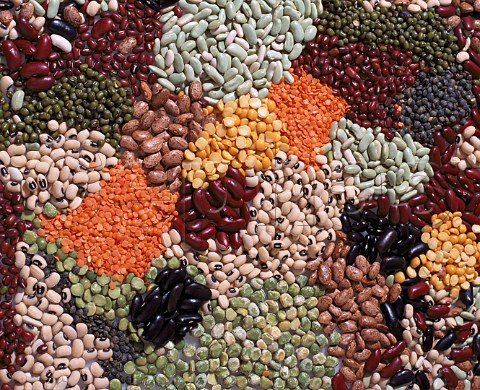 red kidney beans black kidney beans black eyed   beans pinto beans mung beans aduki beans   flageolets puy lentils red lentils dried peas   green split peas yellow split peas