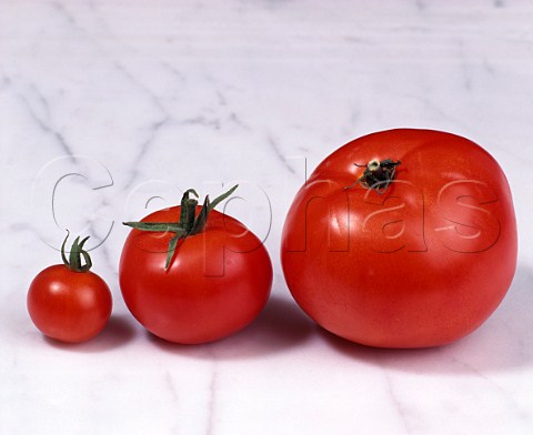 3 tomatoes  cherry standard beef
