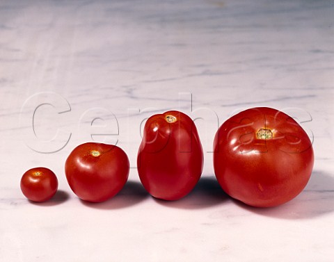 4 tomatoes  cherry standard plum beef