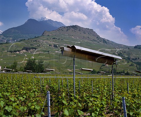 Gas heaters in vineyards as protection against damage by spring frost Sion Valais Switzerland