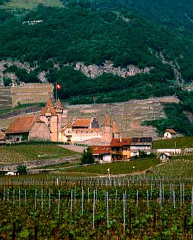 Vineyards around Aigle Chateau Vaud Switzerland    Chablais
