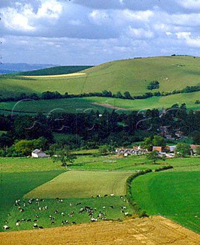 Melbury Abbas and Melbury Hill Cranborne Chase   Dorset
