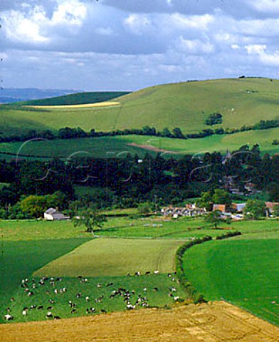 Melbury Abbas and Melbury Hill Cranborne Chase   Dorset