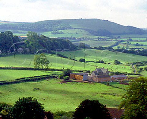 Cranborne Chase from Shaftesbury Dorset