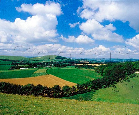 View towards Melbury Abbas and Melbury Hill  from Cranborne Chase Dorset England