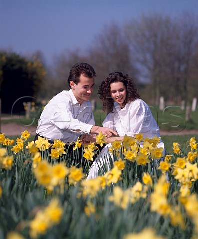 Young couple 20  18 in daffodils