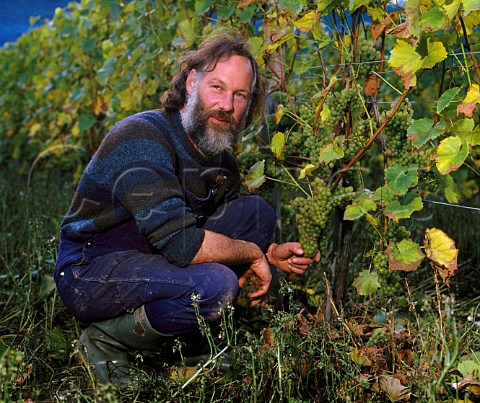 Peter Hall with Seyval Blanc grapes circa 1988  Breaky Bottom Vineyard Rodmell East Sussex England