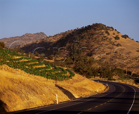 Vineyard on the Silverado Trail Napa Valley California