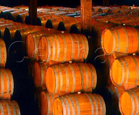 Barrel room of Trefethen vineyards Napa   California