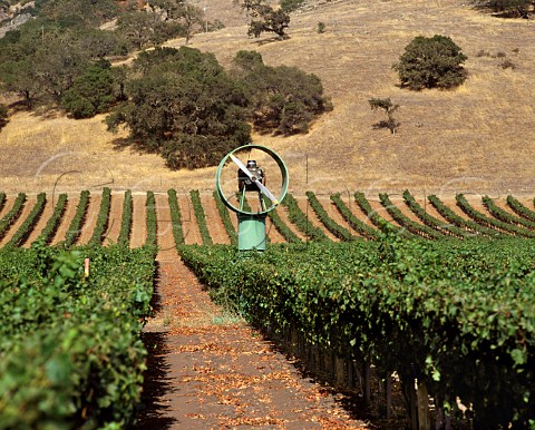 Antifrost wind machine in Cabernet Sauvignon   vineyard of Stags Leap Wine Cellars Napa   California   Stags Leap AVA