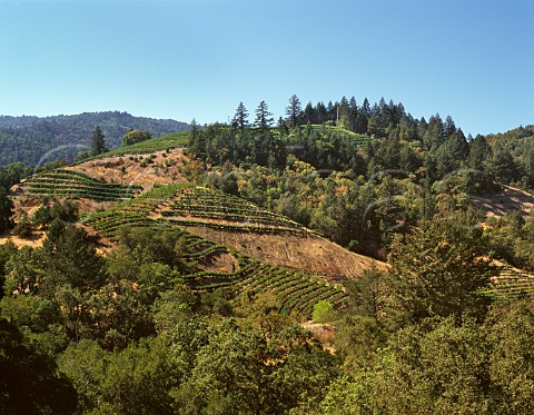 Newton Vineyards St Helena Napa Valley  California Spring Mountain