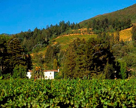 Chateau StJean below Sugarloaf Ridge Kenwood   Sonoma Valley California