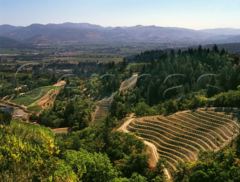 Newton Vineyards high above the valley floor St Helena Napa Valley  California  Spring Mountain