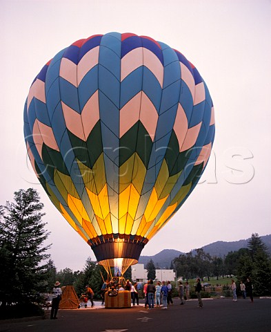 Hot air balloon taking off at dawn from grounds of Domaine Chandon Yountville Napa Valley California