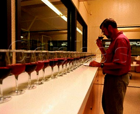 Oenologist tasting wines at Robert Mondavi Winery   Oakville Napa Co California