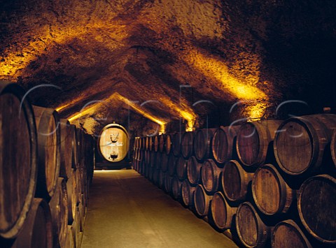 Old barrel cellar of the Buena Vista museum the original winery Sonoma California