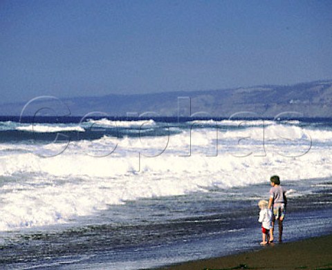 Children watch breakers on Manchester State Beach   Mendocino Co California On the coastal highway   Route 1 north of San Francisco