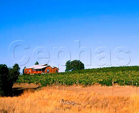 Caparone vineyards Zinfandel  Nebbiolo Paso Robles San Luis Obispo Co California