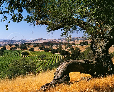 Firestone Vineyards and Winery Los Olivos Santa Barbara County California Santa Ynez Valley