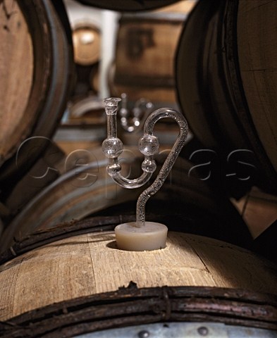 Fermenting Chardonnay in oak barrels at Chalone Soledad Monterey County California   Chalone
