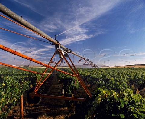 Irrigation of circular vineyard    Champoux Vineyards in the Horse Heaven Hills south of Prosser Washington USA    Columbia Valley AVA