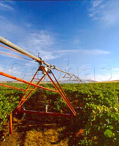 Irrigation of circular vineyard    Champoux Vineyards in the Horse Heaven Hills   south of Prosser Washington USA    Columbia Valley AVA