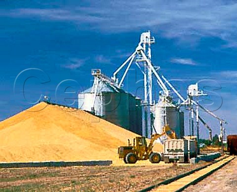 Van de Graaf Ranches grain depot Sunnyside Yakima   valley Washington