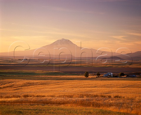 Mount Adams 12307ft viewed from 45 miles away near Goldendale Washington USA